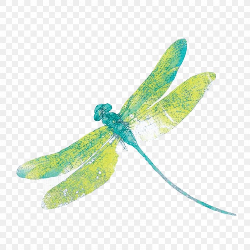 Insect Osborne & Little Dragonfly Textile Wallpaper, PNG, 850x850px, Insect, Designer, Dragonflies And Damseflies, Dragonfly, Insect Wing Download Free