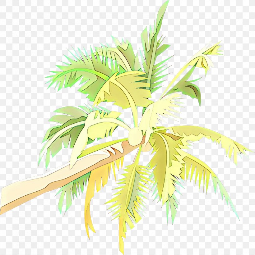 Palm Tree, PNG, 1677x1680px, Cartoon, Arecales, Elaeis, Leaf, Palm Tree Download Free