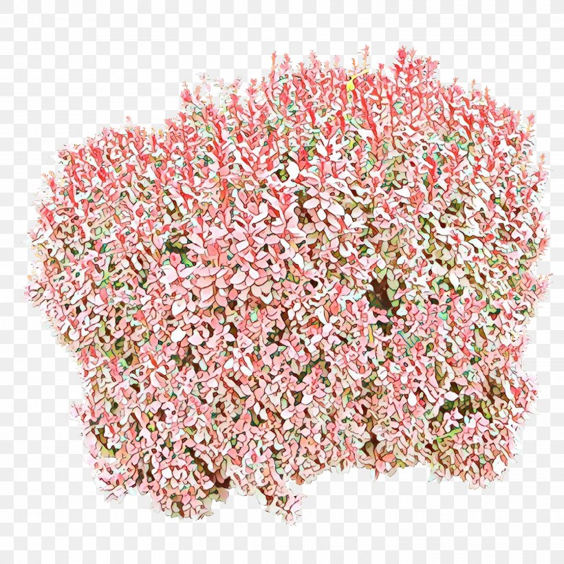 Pink Plant Flower Aquarium Decor Grass, PNG, 2902x2902px, Cartoon, Aquarium Decor, Cut Flowers, Flower, Grass Download Free
