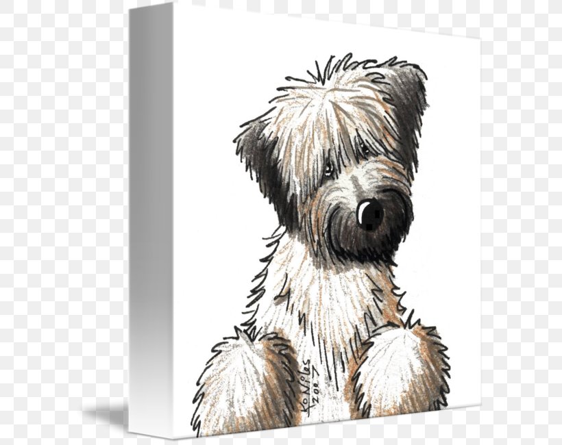 Skye Terrier Soft-coated Wheaten Terrier Glen Cairn Terrier Border Terrier, PNG, 599x650px, Skye Terrier, Affenpinscher, Bearded Collie, Border Terrier, Cairn Terrier Download Free
