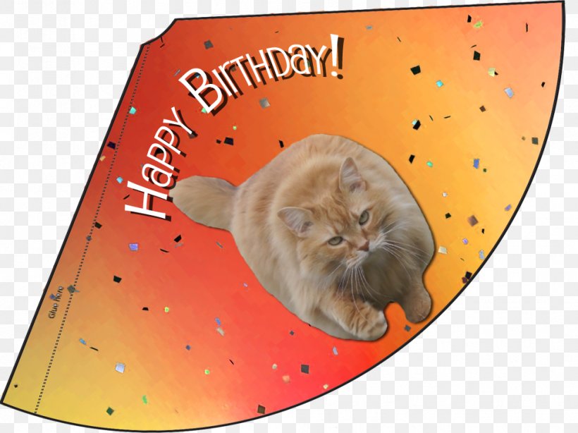 Whiskers Kitten Party Hat Birthday, PNG, 992x743px, Whiskers, Birthday, Carnivoran, Cat, Cat Like Mammal Download Free