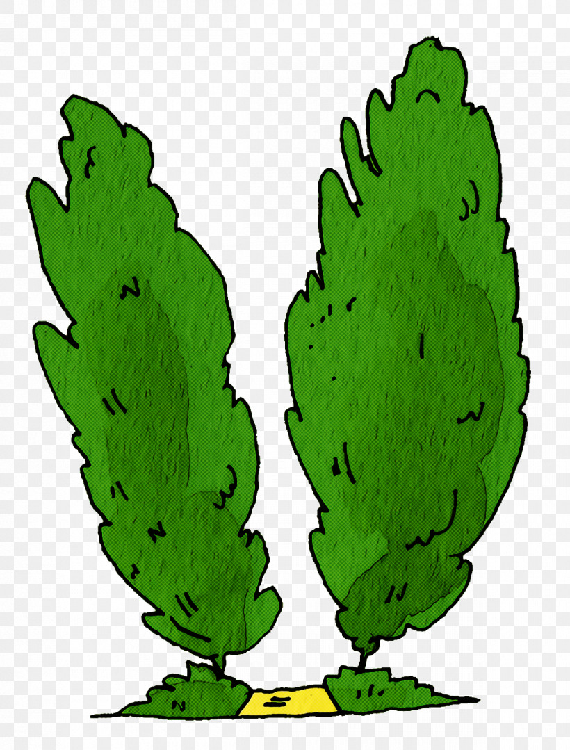 Cactus, PNG, 1200x1580px, Leaf Vegetable, Barbary Fig, Cactus, Leaf, Microgreen Download Free