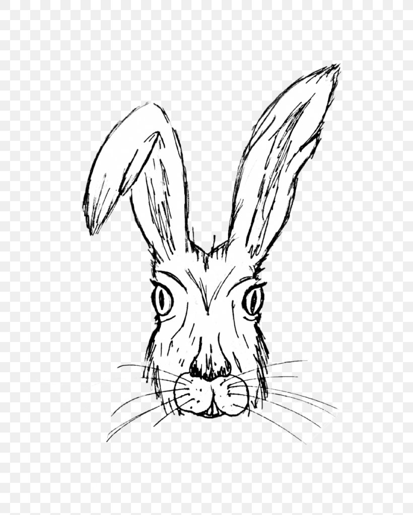 Rabbit Line Art Head Hare Rabbits And Hares, PNG, 683x1024px, Rabbit, Blackandwhite, Drawing, Hare, Head Download Free