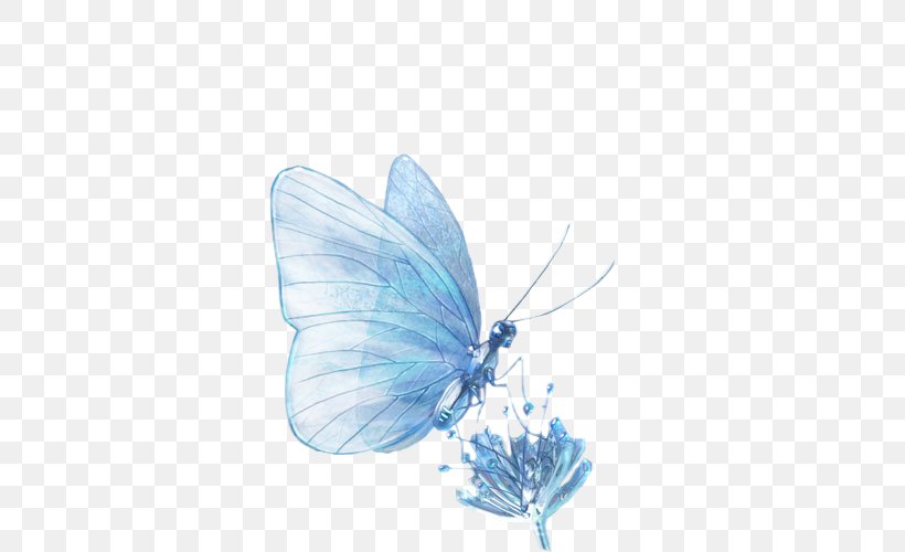 Blog Butterflies And Moths Photography PhotoFiltre, PNG, 500x500px, Blog, Arthropod, Azure, Blue, Butterflies And Moths Download Free
