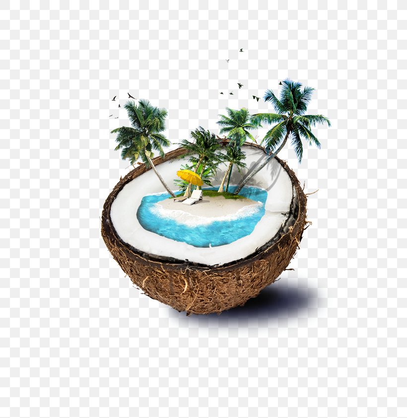 Fiji Coconut Water Beach Island, PNG, 595x842px, Fiji, Arecaceae, Bar, Beach, Coconut Download Free