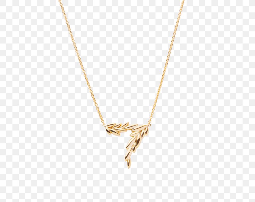 Necklace Jewellery Charms & Pendants Chain, PNG, 650x650px, Necklace, Chain, Charms Pendants, Jewellery, Pendant Download Free