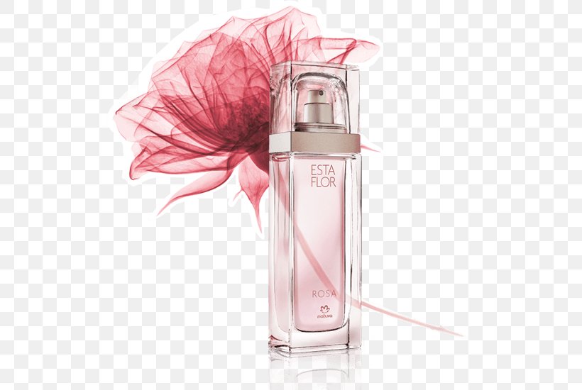Perfumer Rose Natura &Co Flower, PNG, 520x550px, Perfume, Aroma, Cosmetics,  Deodorant, Eau De Parfum Download Free