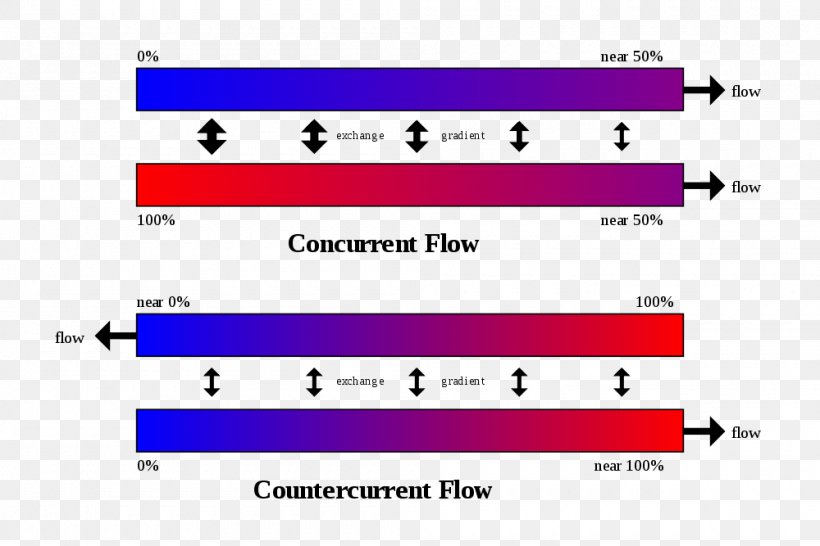 Countercurrent Exchange Heat Exchanger System Countercurrent Multiplication Gas Exchange, PNG, 1000x667px, Watercolor, Cartoon, Flower, Frame, Heart Download Free