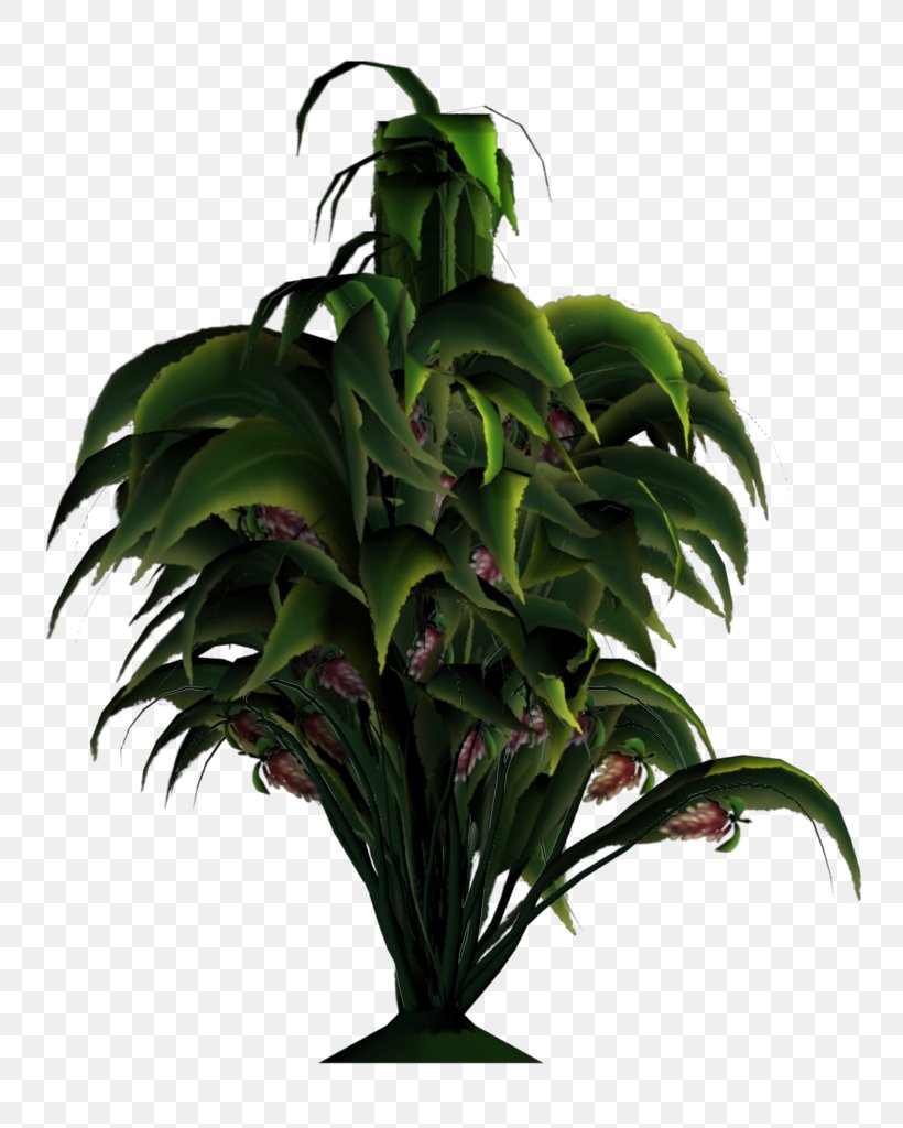 Houseplant Flowerpot Garden, PNG, 768x1024px, Plant, Arecales, Conifers, Flower, Flowerpot Download Free