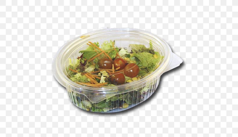 Vegetarian Cuisine Bowl Platter Salad Recipe, PNG, 591x472px, Vegetarian Cuisine, Bowl, Cuisine, Dish, Dishware Download Free