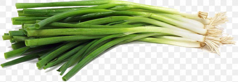 Cong You Bing Scallion Onion Vegetarian Cuisine Vegetable, PNG, 872x301px, Cong You Bing, Cooking, Dish, Food, Garlic Download Free