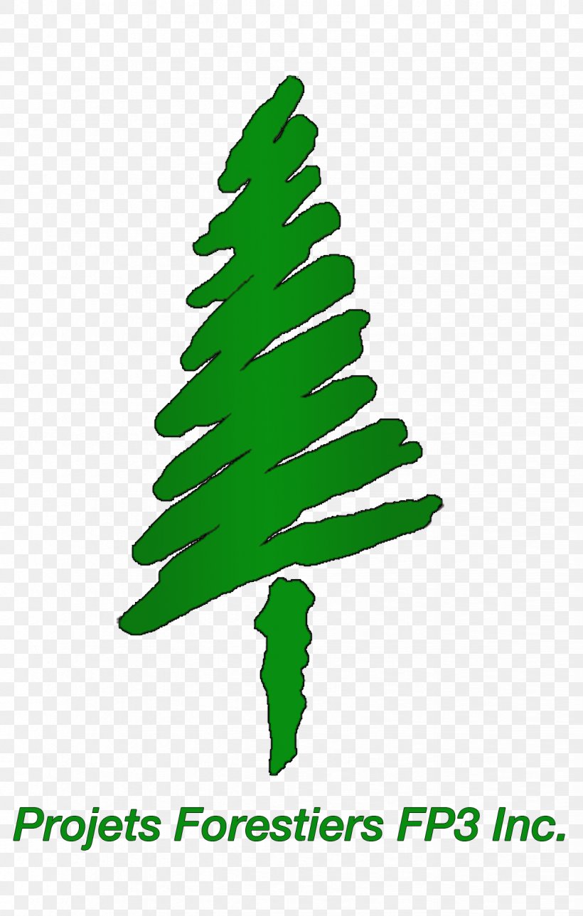 Spruce Forest Christmas Tree Clip Art Plant Stem, PNG, 1226x1928px, Spruce, Artwork, Christmas Decoration, Christmas Tree, Conifer Download Free