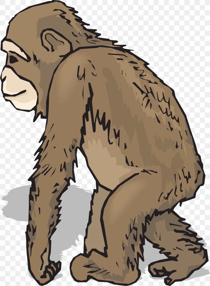 Baby Chimpanzee Free Content Clip Art, PNG, 1407x1920px, Chimpanzee, Baby Chimpanzee, Bear, Blog, Carnivoran Download Free
