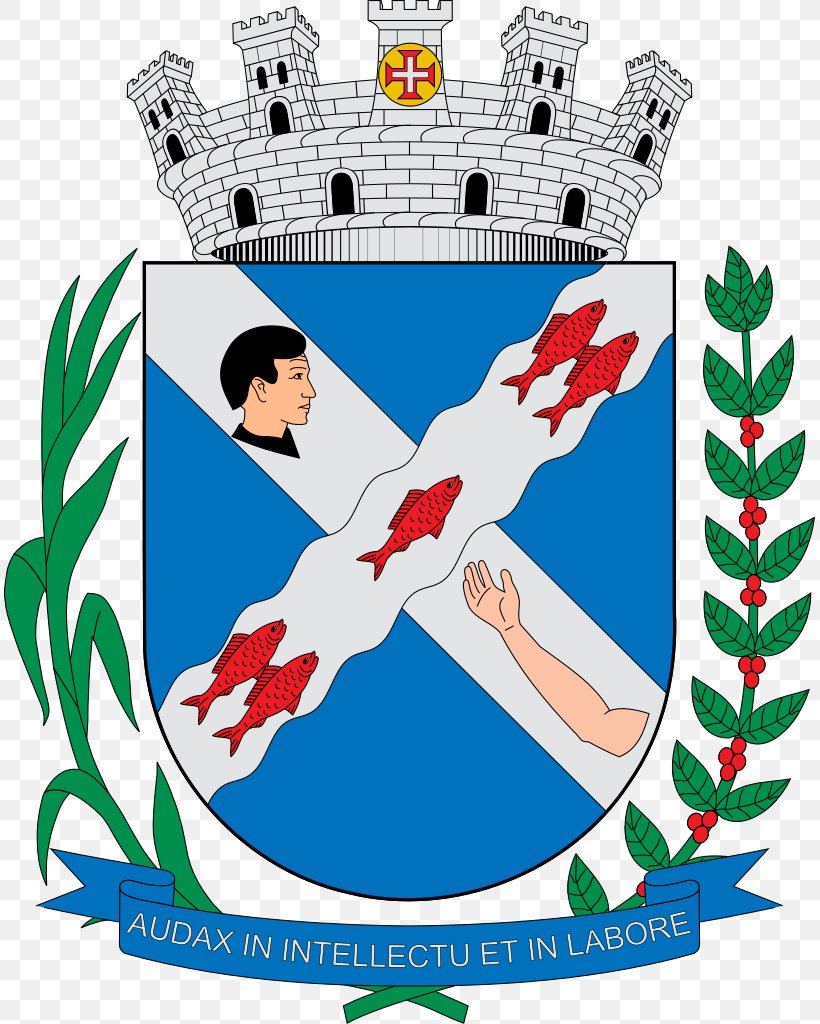 Conceição De Macabu Brasão De Piracicaba Coat Of Arms Bandeira De Piracicaba Wikipedia, PNG, 811x1024px, Coat Of Arms, Area, Artwork, Ball, Flag Of Angola Download Free