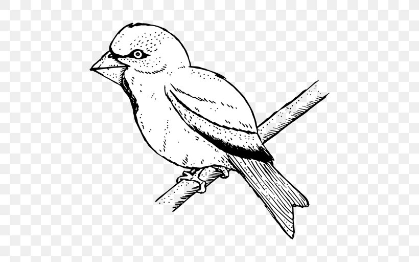 Finch Bird Line Art, PNG, 512x512px, Finch, Art, Artwork, Beak, Bird Download Free