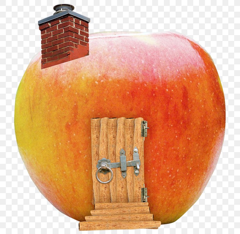 House PhotoFiltre Apple, PNG, 745x800px, House, Apple, Fruit, Orange, Painting Download Free