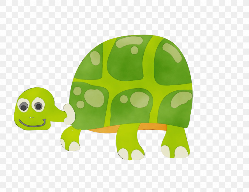 Tortoise Turtles Tortoise M Green Cartoon, PNG, 1864x1440px, Watercolor, Cartoon, Green, Paint, Tortoise Download Free