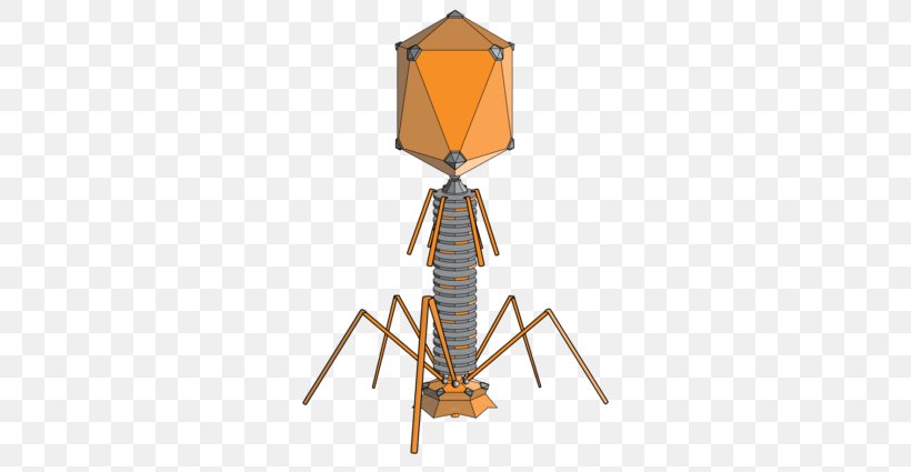 Bacteriophage Virus Bacteria Lambda Phage Phage Therapy, PNG, 696x425px, Bacteriophage, Antibiotics, Antimicrobial Resistance, Bacteria, Bacteriophage Ms2 Download Free