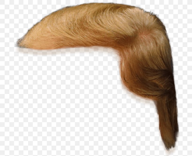 Hairstyle Clip Art, PNG, 736x664px, Hair, Beard, Brown Hair, Donald Trump, Drawing Download Free