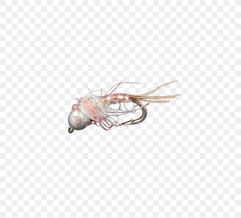 Holly Flies Fly Midge Head Product Discounts And Allowances, PNG, 555x741px, Watercolor, Cartoon, Flower, Frame, Heart Download Free