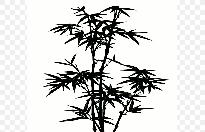 Light Bamboo Clip Art, PNG, 600x528px, Light, Bamboo, Black And White, Branch, Flora Download Free