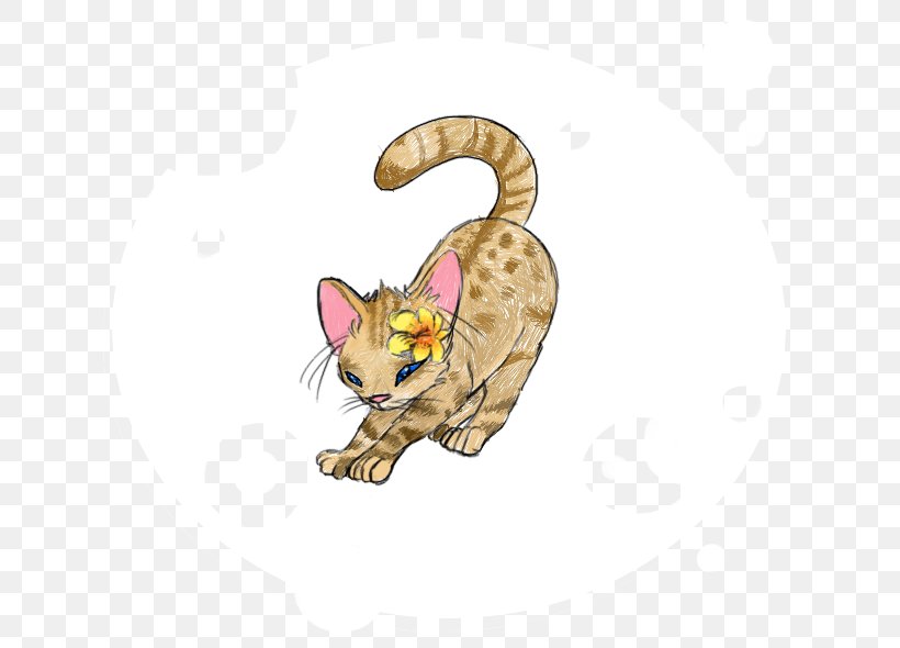 Whiskers Cat Paw Cartoon Tail, PNG, 640x590px, Whiskers, Carnivoran, Cartoon, Cat, Cat Like Mammal Download Free