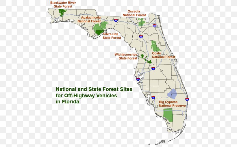 Apalachicola National Forest Chattahoochee-Oconee National Forest Hillsborough River State Park Map United States National Forest, PNG, 505x509px, Chattahoocheeoconee National Forest, Area, Camping, Florida, Forest Download Free