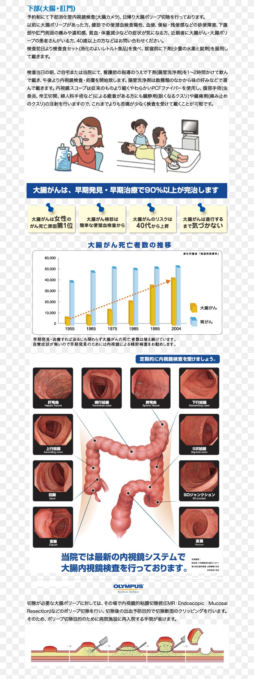 Chigasaki Endoscopy Internal Medicine Gastroenterology Shoe, PNG, 700x2193px, Chigasaki, Area, Clinic, Computer Font, Digestion Download Free