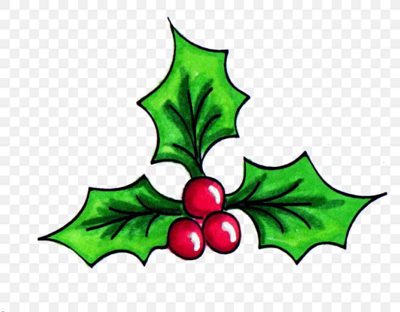 Holly Clip Art Grapevine Aquifoliales Christmas Ornament, PNG, 812x640px, Holly, Aquifoliaceae, Aquifoliales, Artwork, Branch Download Free