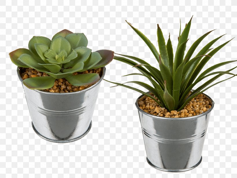 Succulent Plant Flowerpot Ceramic Glass, PNG, 945x709px, Succulent Plant, Agave, Cactaceae, Cactus, Ceramic Download Free