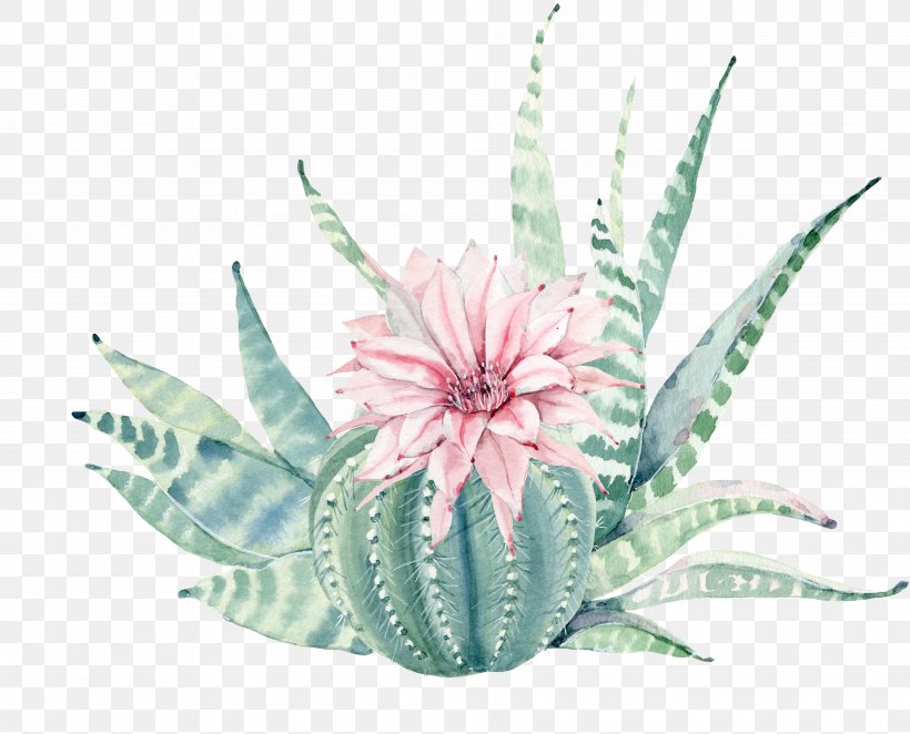 Succulent Plant Painting Canvas Print Cactaceae, PNG, 3898x3148px, Succulent Plant, Aloe, Art, Cactaceae, Canvas Download Free