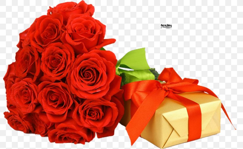 Wish Happy Birthday Wedding Anniversary, PNG, 800x504px, Wish, Anniversary, Birthday, Birthday Cake, Cut Flowers Download Free