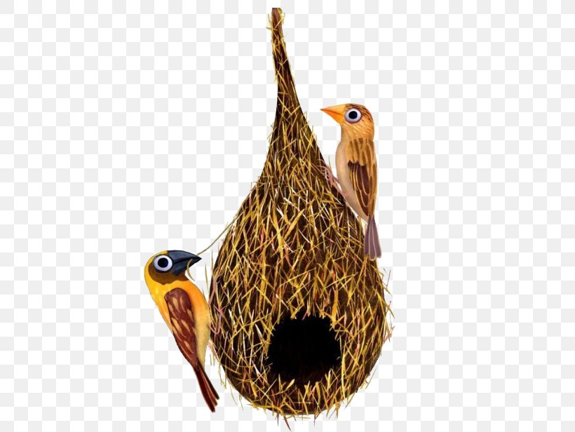Edible Birds Nest Swallow Bird Nest, PNG, 453x616px, Edible Birds Nest, Baya Weaver, Beak, Bird, Bird Egg Download Free