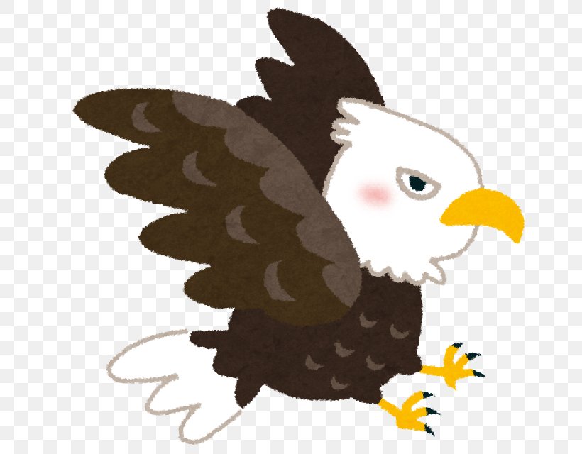 Bald Eagle いらすとや Nest Png 670x640px Eagle Animal Aquila Art Bald Eagle Download Free