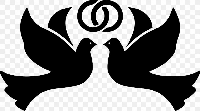 Columbidae Bird Desktop Wallpaper Clip Art, PNG, 980x546px, Columbidae, Beak, Bird, Black And White, Doves As Symbols Download Free