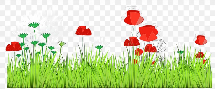 Grass Meadow Natural Landscape Coquelicot Plant, PNG, 3689x1535px, Watercolor, Coquelicot, Corn Poppy, Flower, Grass Download Free