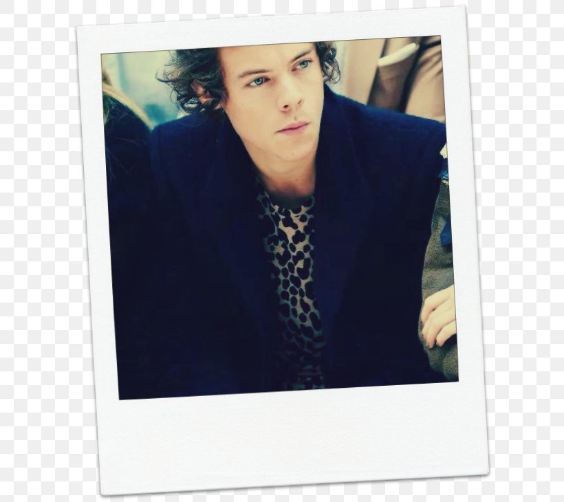 Harry Styles One Direction Celebrity Image Burberry, PNG, 619x730px, Watercolor, Cartoon, Flower, Frame, Heart Download Free