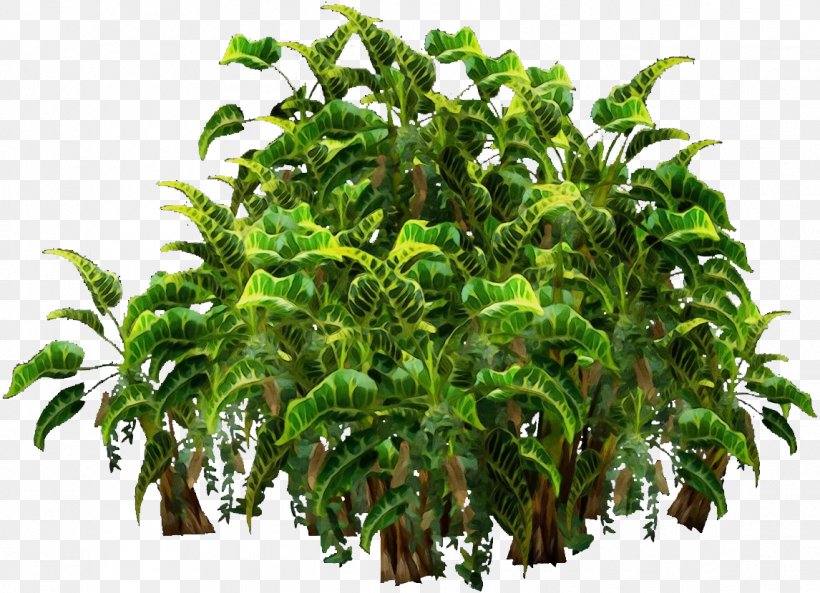 Herbaceous Plant Design Shrub Tree Landscape Architecture, PNG ...