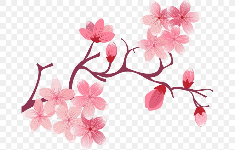 National Cherry Blossom Festival Flower, PNG, 670x524px, National Cherry Blossom Festival, Artworks, Blossom, Branch, Cherry Download Free