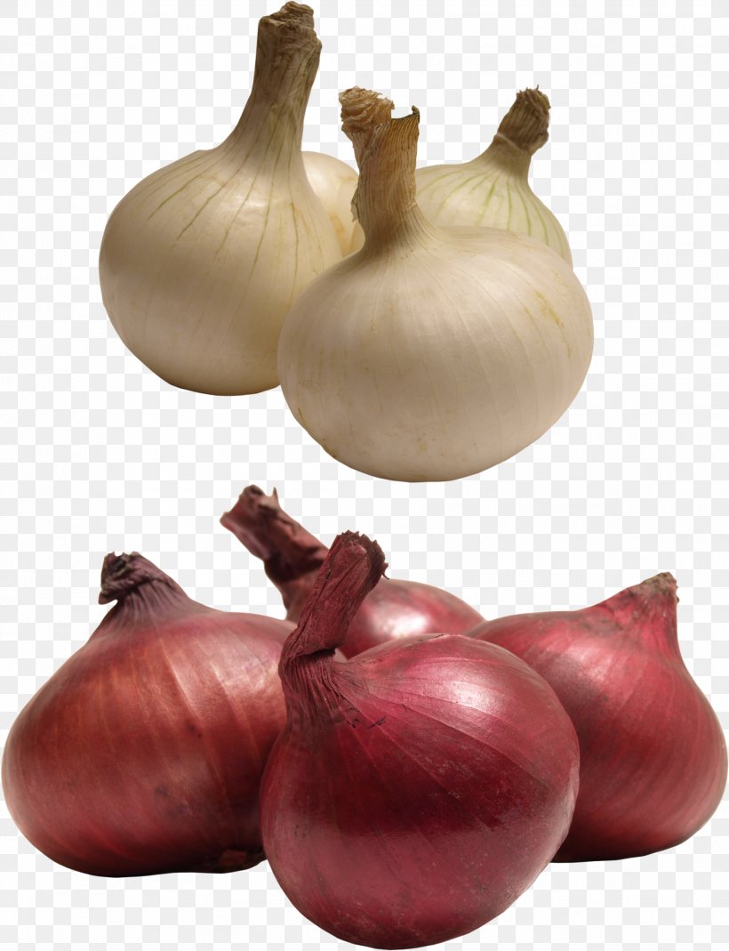 Red Onion Yellow Onion Shallot Garlic, PNG, 1778x2319px, Red Onion, Author, Food, Garlic, Ingredient Download Free