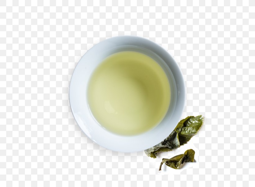 Sencha Oolong Hōjicha Tea Gyokuro, PNG, 600x600px, Sencha, Alcyone, Dish, Earl Grey Tea, Green Tea Download Free