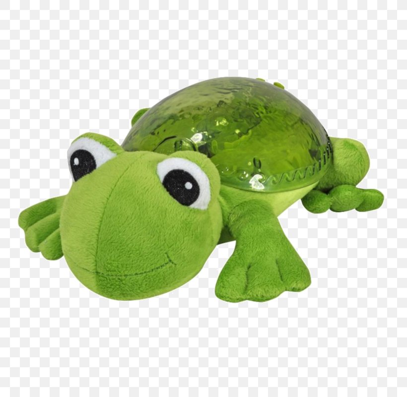 Frog Amazon.com Turtle Child Light, PNG, 800x800px, Frog, Amazoncom, Amphibian, Child, Color Download Free