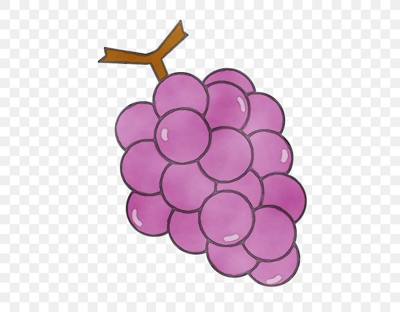 Grape Grapevine Family Purple Violet Vitis, PNG, 640x640px, Watercolor, Fruit, Grape, Grapevine Family, Hydrangea Download Free