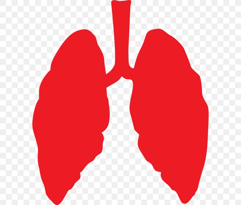 Lung Cancer Chronic Obstructive Pulmonary Disease Respiratory System Bronchitis, PNG, 600x698px, Lung, American Lung Association, Bronchitis, Cancer, Emphysema Download Free