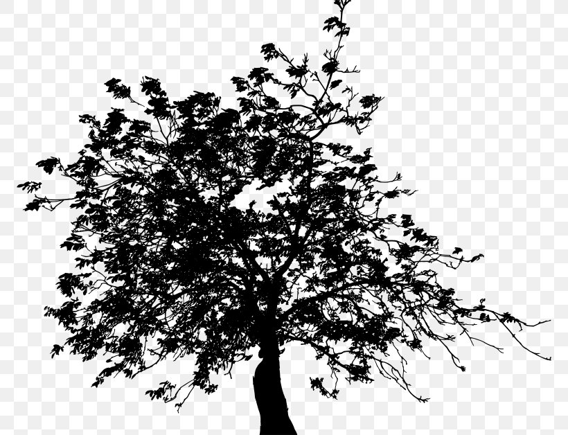 Twig Black And White Clip Art, PNG, 772x628px, Twig, Black And White, Branch, Cdr, Drawing Download Free