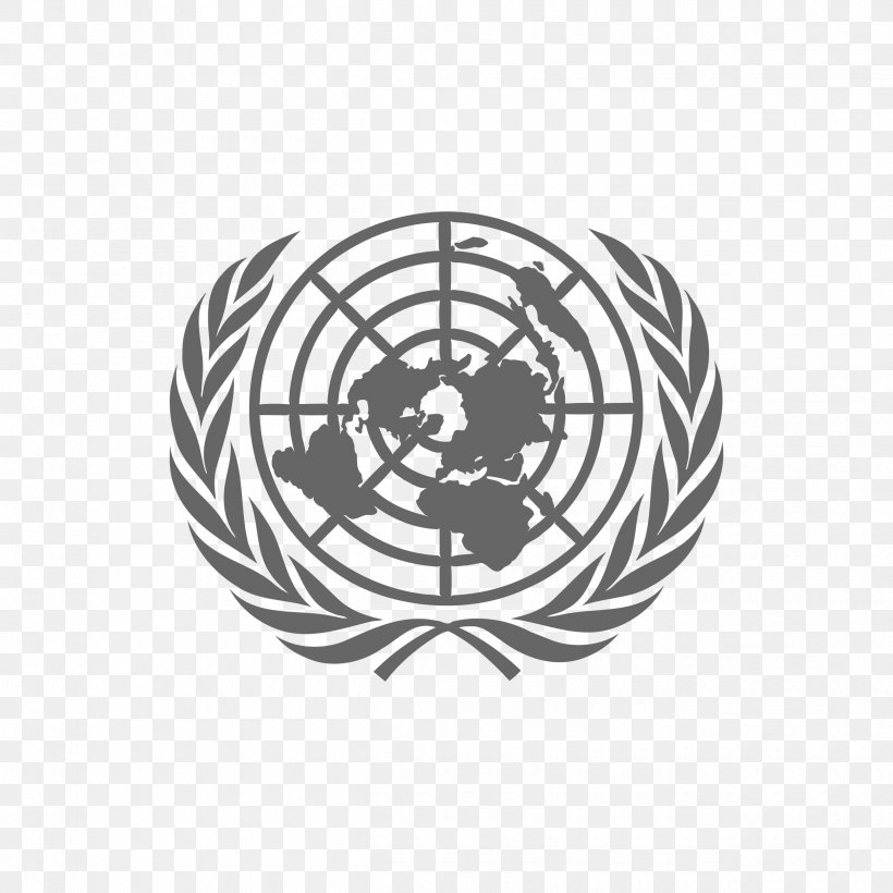 United Nations Office At Geneva United Nations Office On Drugs And Crime United Nations Mission In The Central African Republic Drug-related Crime, PNG, 2500x2500px, United Nations Office At Geneva, Black, Black And White, Crime, Drugrelated Crime Download Free