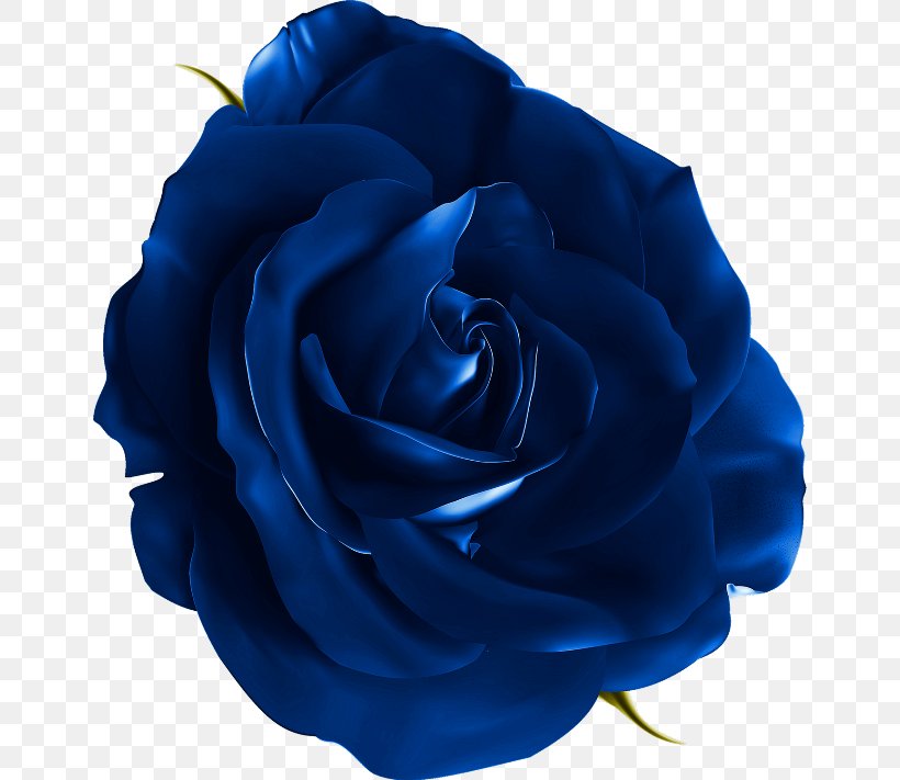Blue Rose Flower Clip Art, PNG, 650x711px, Blue Rose, Blue, Blue Flower, Cobalt Blue, Cut Flowers Download Free