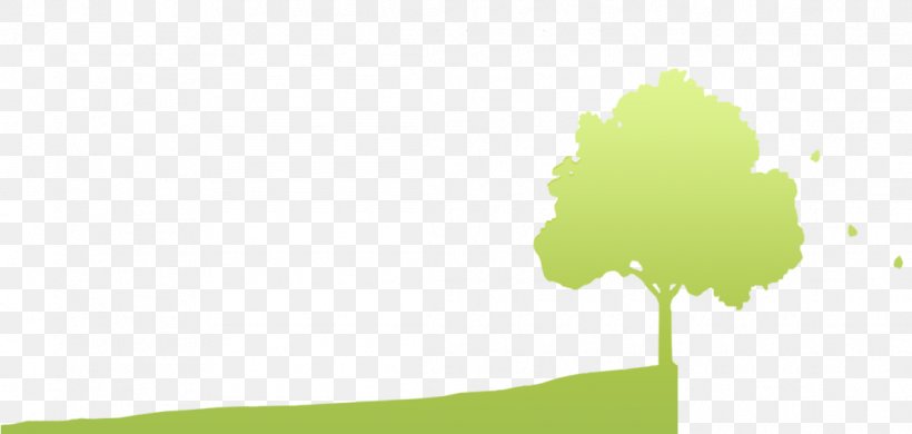 Energy Desktop Wallpaper Leaf Tree Sky, PNG, 1110x528px, Energy, Computer, Grass, Green, Leaf Download Free