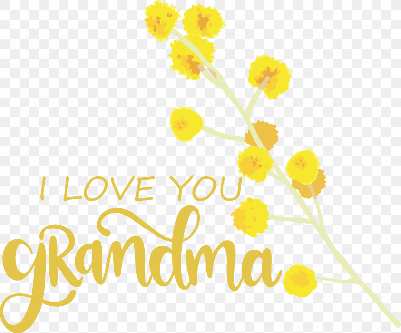 Grandmothers Day Grandma, PNG, 3000x2497px, Grandmothers Day, Biology, Cut Flowers, Floral Design, Flower Download Free