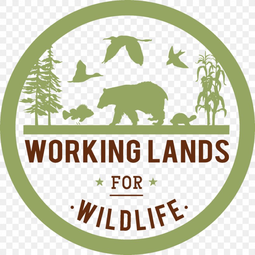 Natural Resources Conservation Service Logo The Wildlife Society Hunting,  PNG, 1024x1024px, Logo, Agriculture, Area, Brand, Conservation